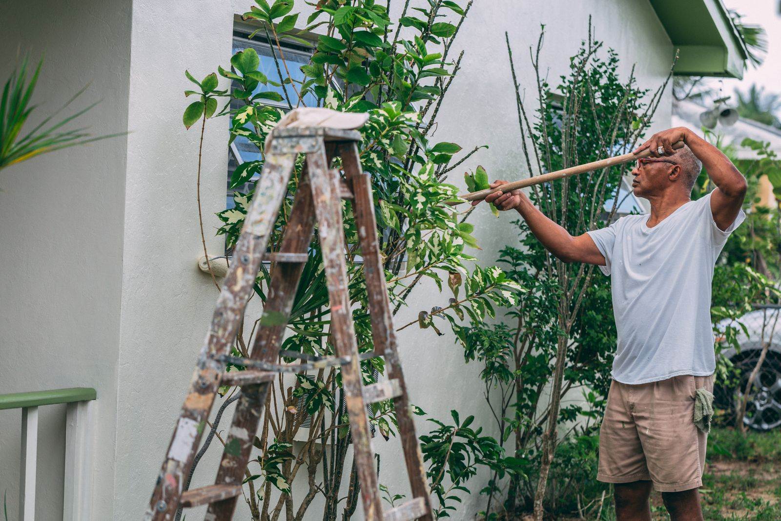 An adult man paints a house wall outdoors with a roller and ladder in a garden